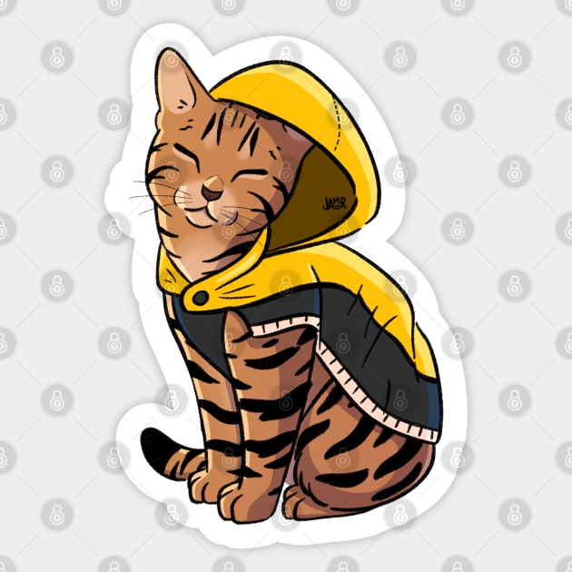 Cat raincoat on sale